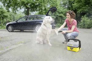 Pet Brosse