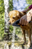 Brosse animaux de compagnie