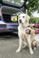 Mobile Outdoor Cleaner OC 3 + Pet **EU