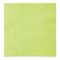 Poetsdoek Scalet, groen, 41,5x33,5 cm, 5x